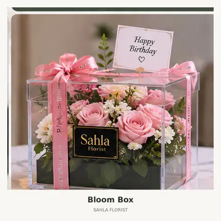 Bloom Box Jetis